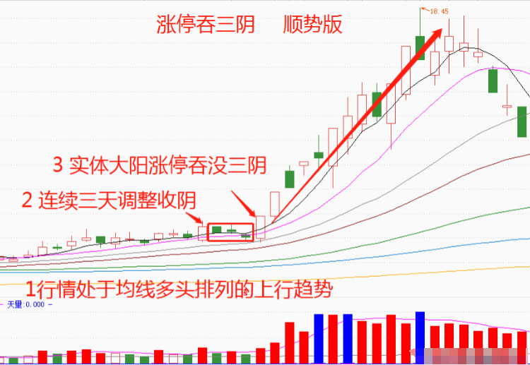 第一次有人把叠倍量支撑讲的一清二楚我读了10遍句句精华