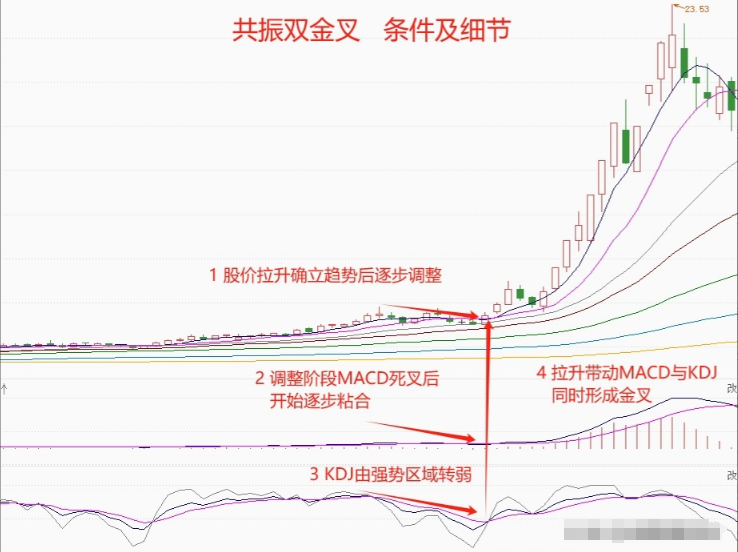 炒股十六年从20W做到1570W只因吃透了七格子做T法精辟！