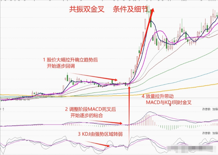 炒股十六年从20W做到1570W只因吃透了七格子做T法精辟！