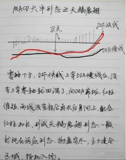 第一次有人把MACD讲的一清二楚我读了10遍让我受益匪浅！