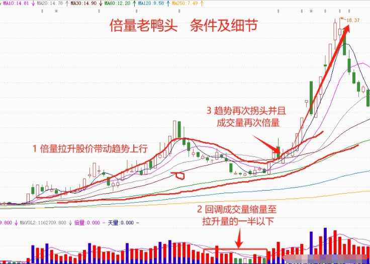 终于有人把MACD讲的一清二楚了我读了整整10遍全是干货！