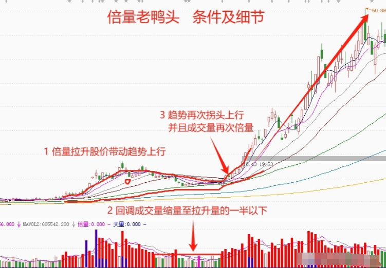 终于有人把MACD讲的一清二楚了我读了整整10遍全是干货！