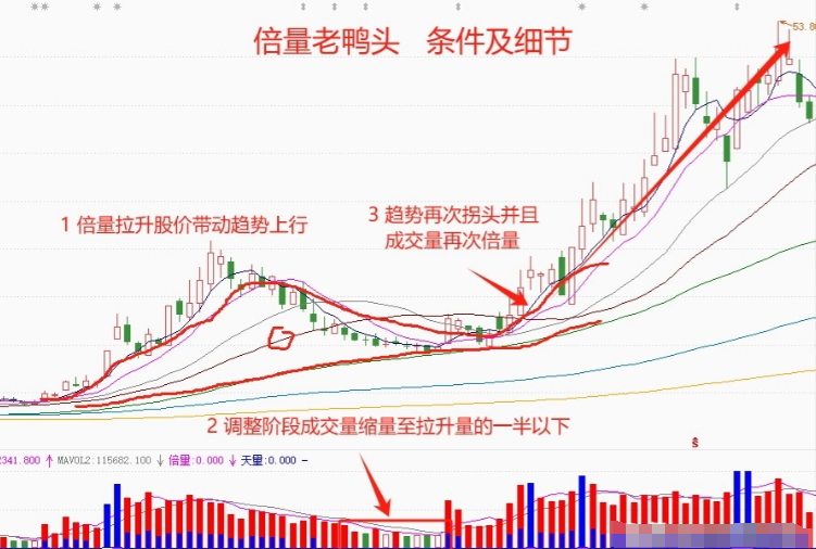 终于有人把MACD讲的一清二楚了我读了整整10遍全是干货！