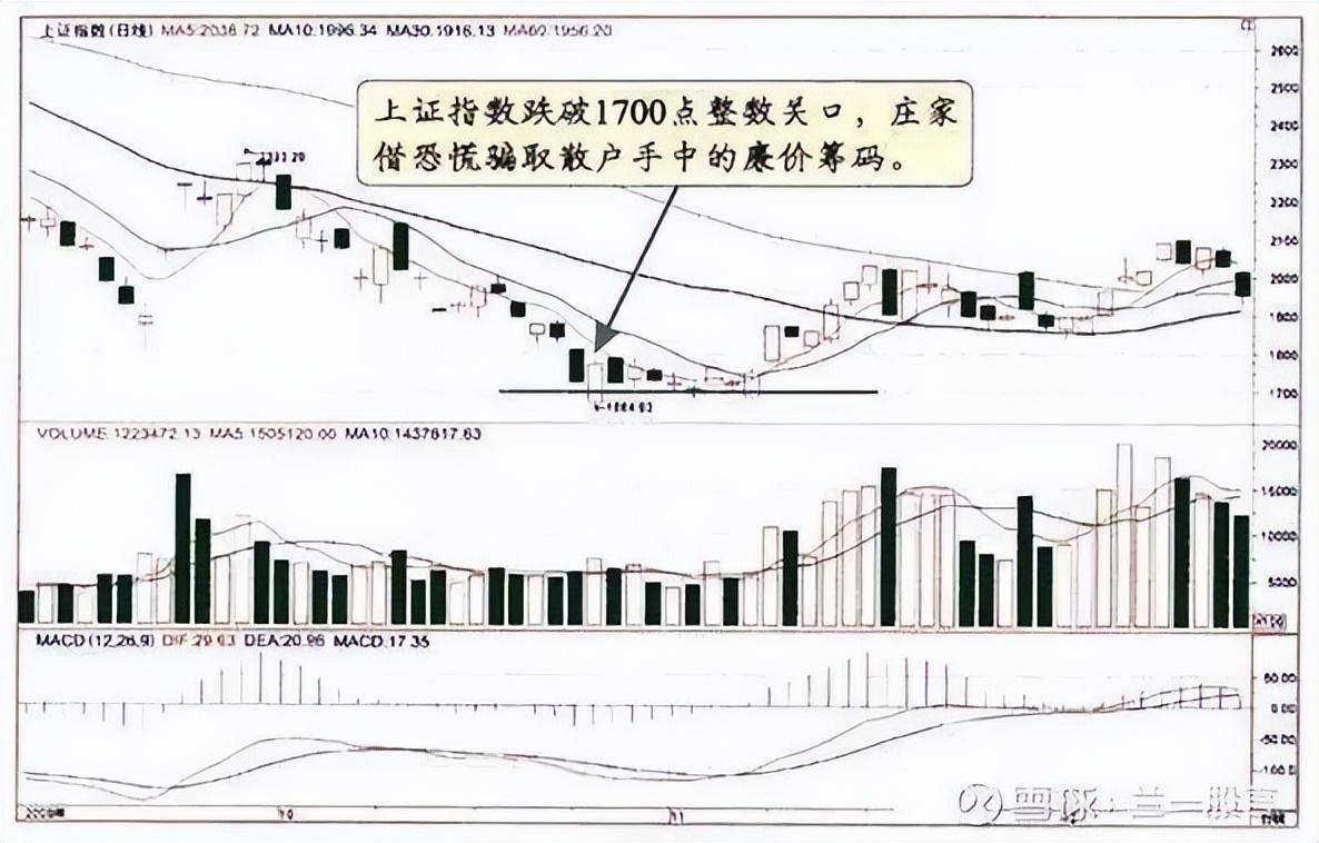 股市中的庄家是如何给散户下套的识别庄家套路看懂了不亏钱