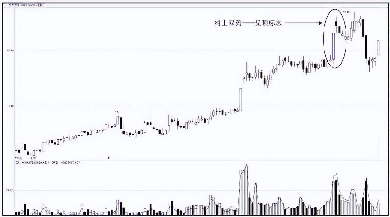 股市绝顶高手的致深感悟用最简单的指标去赚钱少走10年弯路!