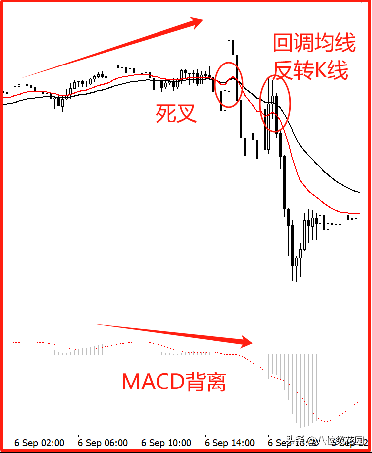 如何结合多个技术指标进行综合分析?