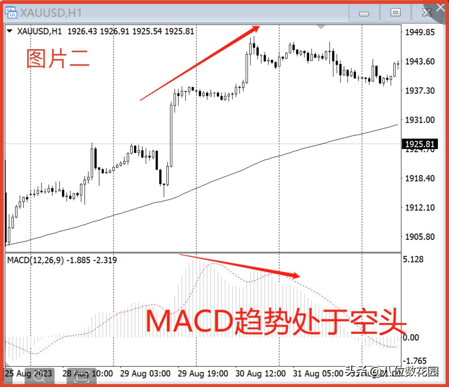 为什么有人说不同的人看到的趋势是不同的？