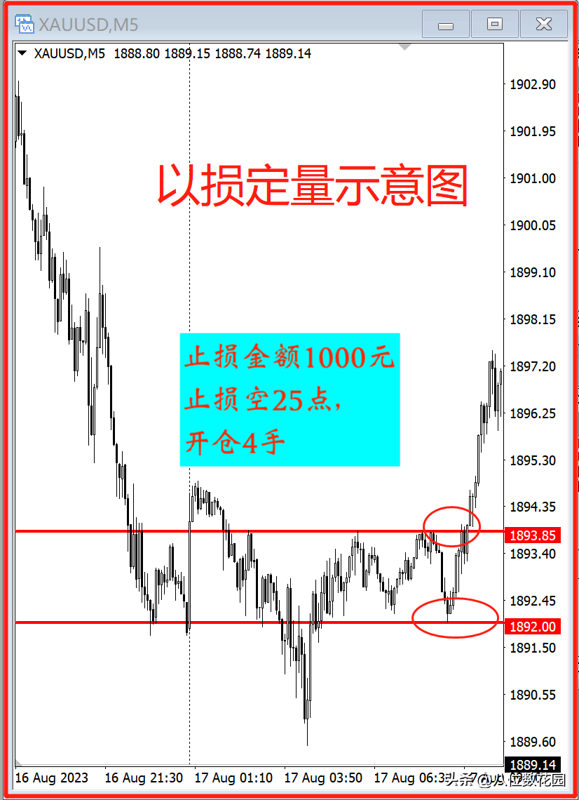 什么是以损定量？