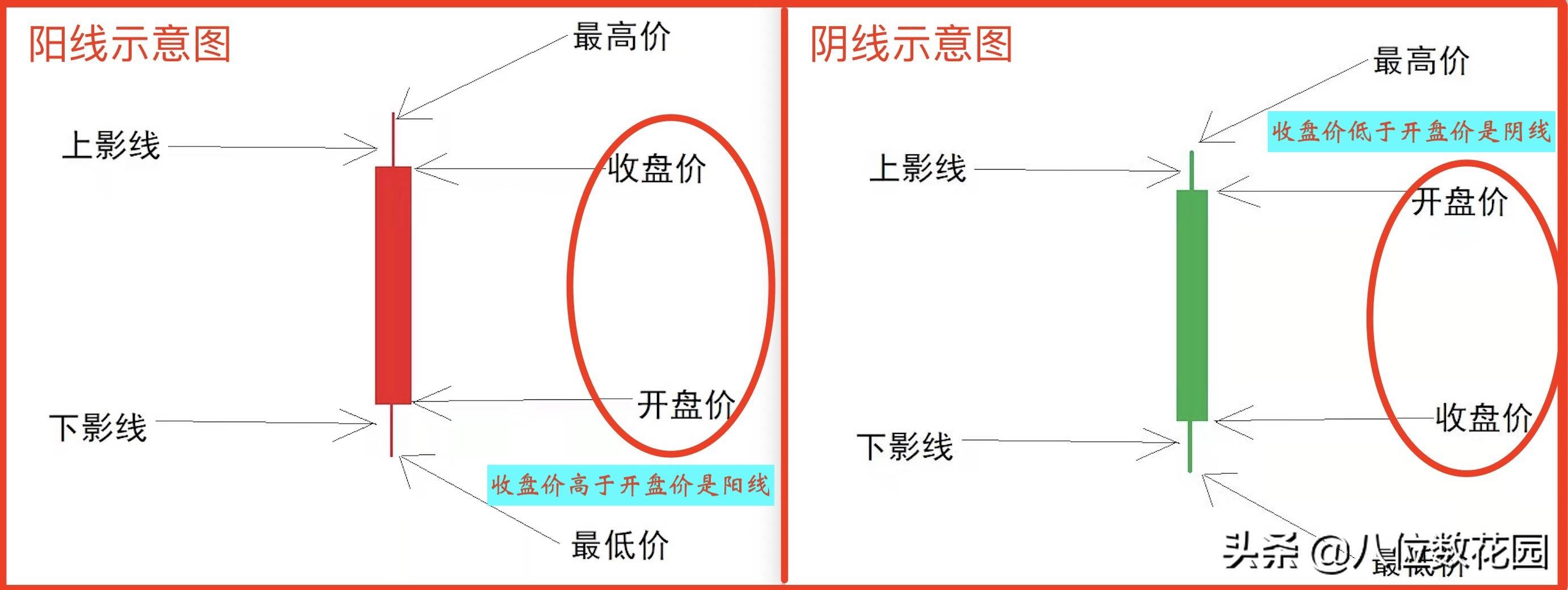 为什么散户在股市亏损被称为割韭菜？