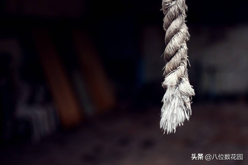 为什么我不做短线交易？