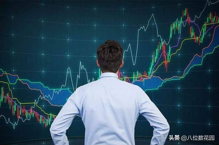 聊聊双双的投资体系