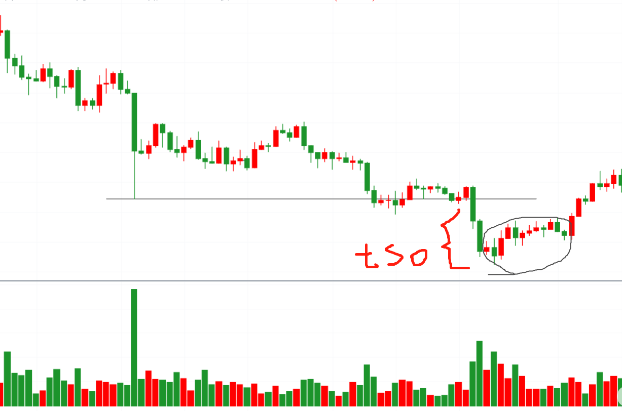 连载威科夫控盘法基础篇06期终极震仓TSO