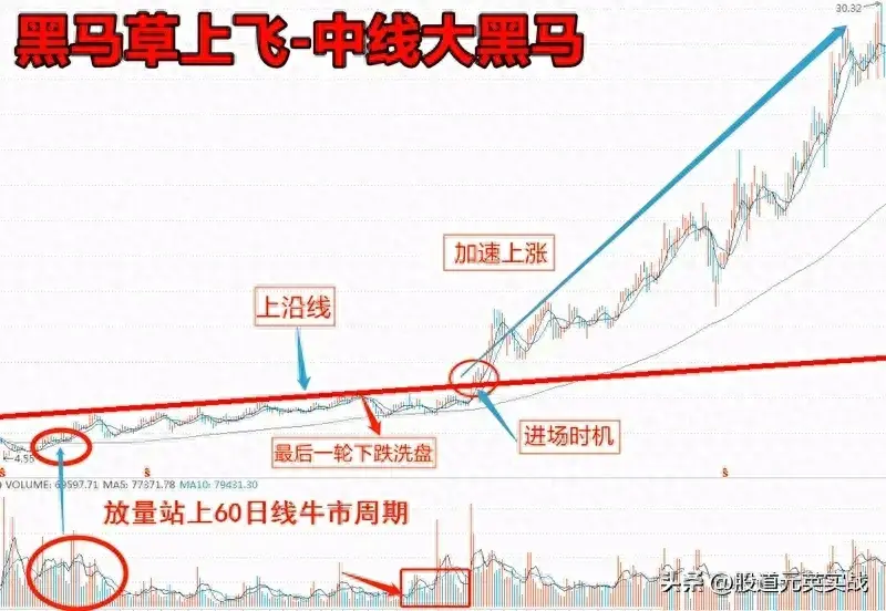 黑马草上飞黑马草上飞战法技术分析图解