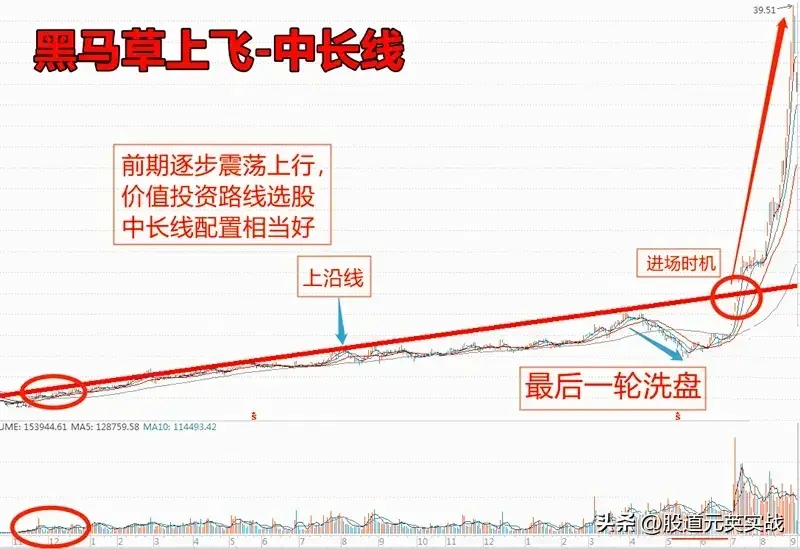 黑马草上飞黑马草上飞战法技术分析图解