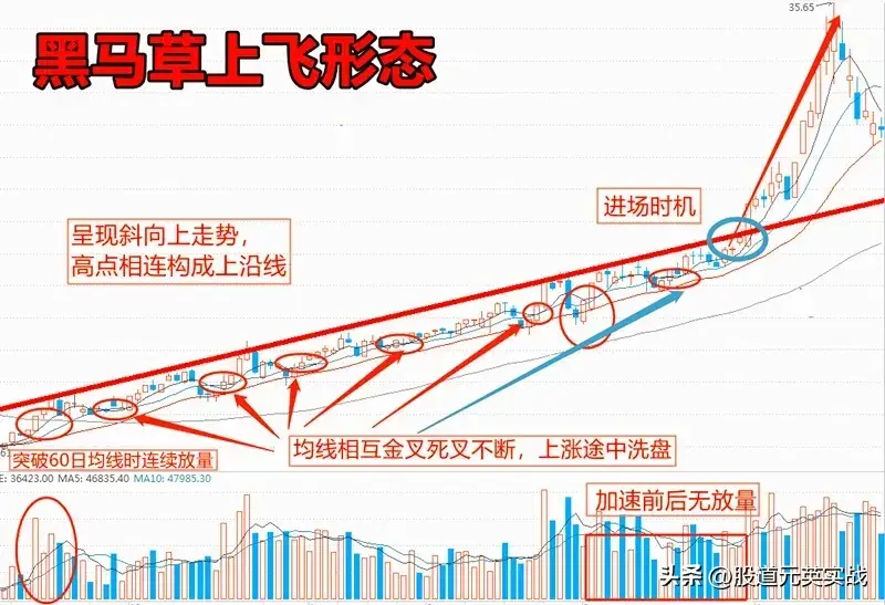 黑马草上飞黑马草上飞战法技术分析图解