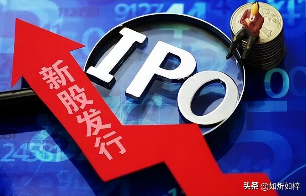 谁赚走了你股市的钱？
