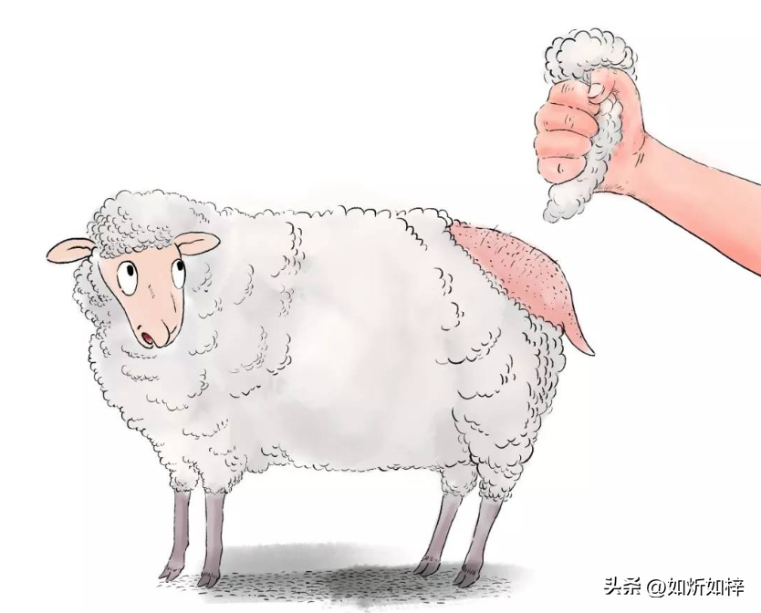 谁赚走了你股市的钱？