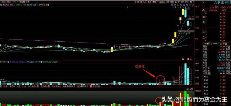 倍量柱的定义不是所有的牛奶都叫特仑苏