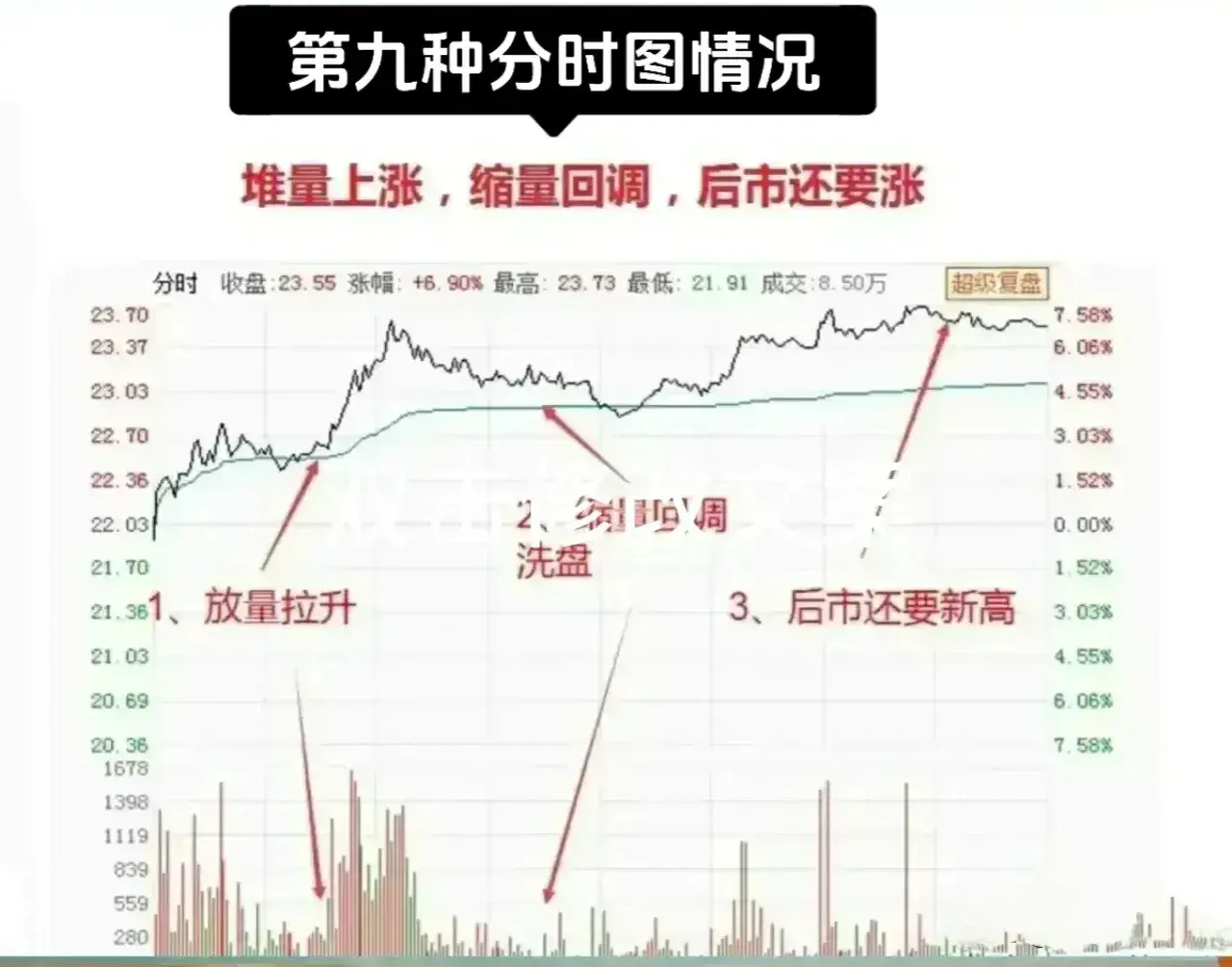 九种分时形态