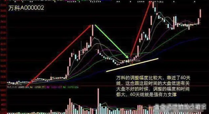 坚持在股市中的人都悟到了什么？赚钱必须要能耐得住寂寞！