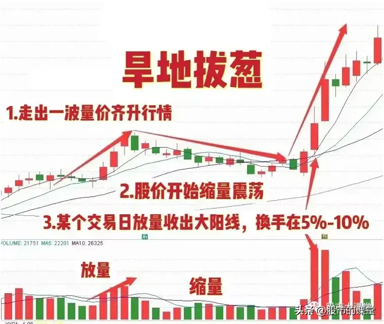 学会干货知识详细解析旱地拔葱形态的实战用法