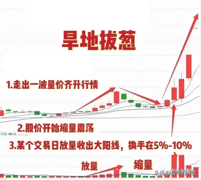 学会干货知识详细解析旱地拔葱形态的实战用法