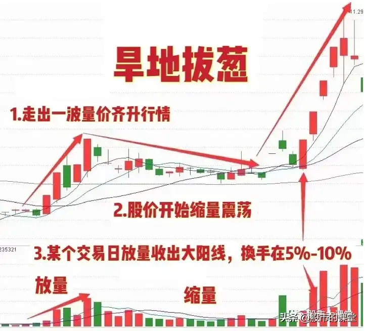 学会干货知识详细解析旱地拔葱形态的实战用法