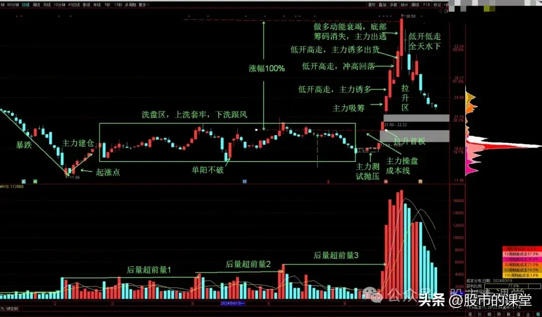 学会干货知识详细解析旱地拔葱形态的实战用法