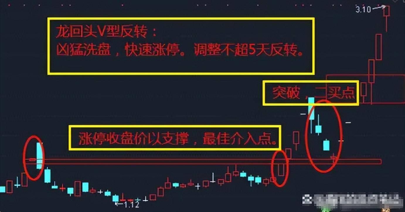 炒股其实不需要懂太多看懂量价关系悟透之后离财富就不远了