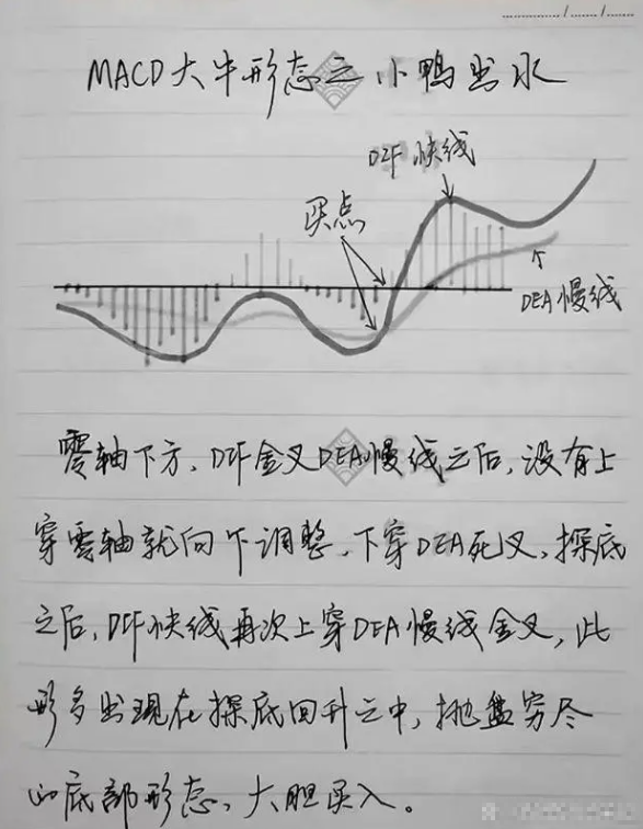 中国股市炒股的尽头是什么？值得所有散户深思的问题很短很深