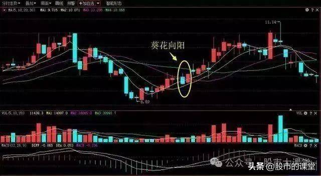 学会精华知识解析强势股k线模型的实战用法
