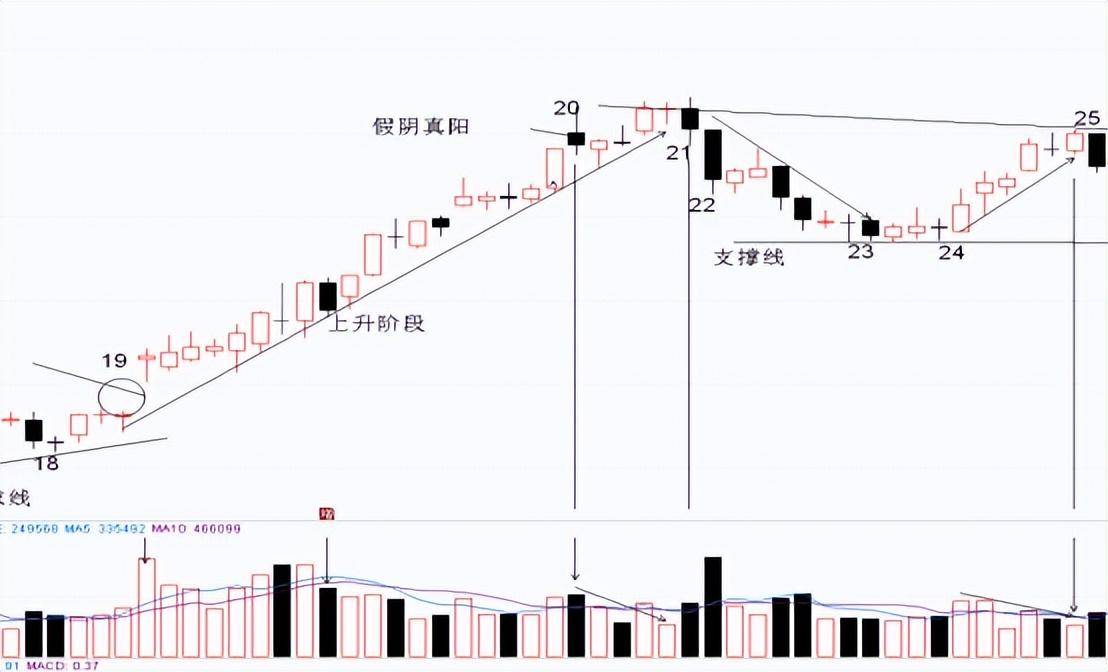 个股行情趋势的综合分析