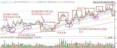 中国股市成功率极高的选股公式出手就是强势大牛股附源码