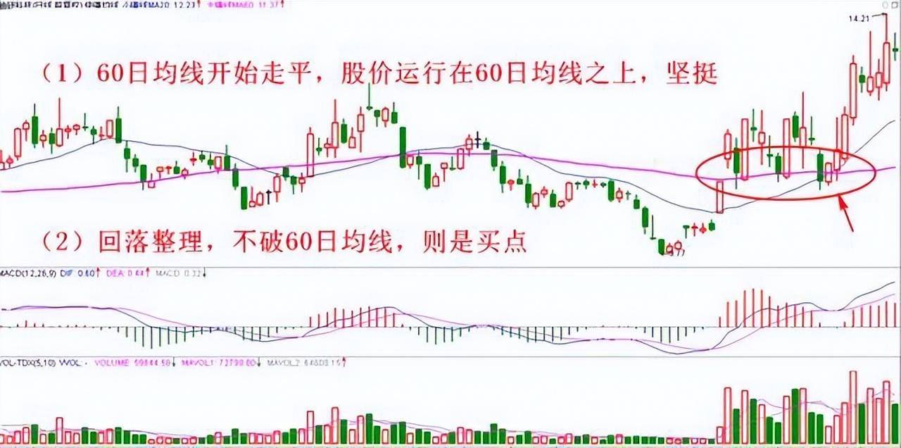通达信公式四大选股战法抓住黑马股