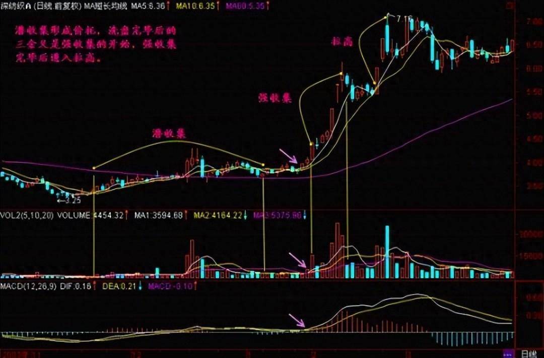 只用一个筹码集中度就抓到主力从亏二十万到赚六百万的经验