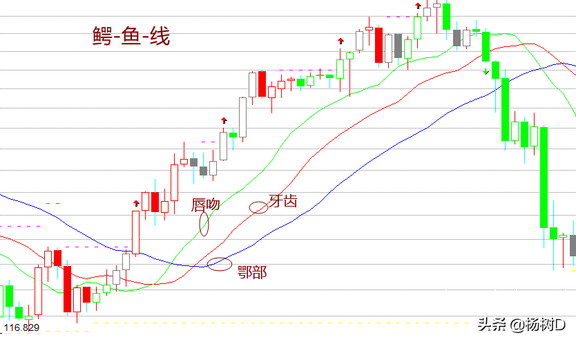 Python鳄鱼交易法则策略