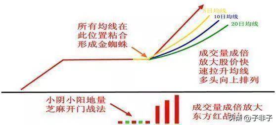 巴菲特点破中国股市股市的钱到底都被谁赚走了？散户我的钱呢