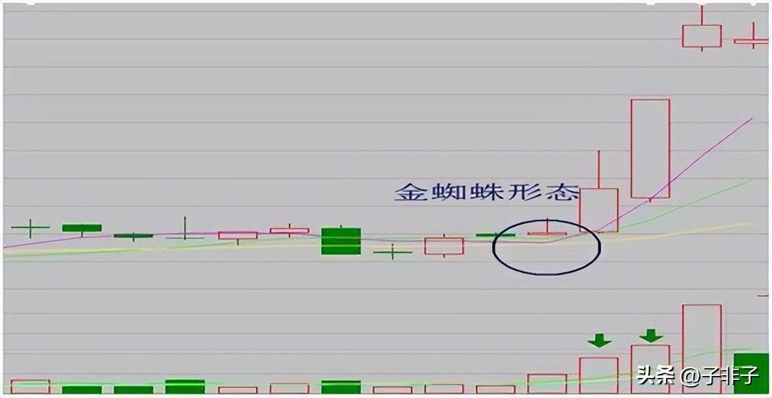 巴菲特点破中国股市股市的钱到底都被谁赚走了？散户我的钱呢