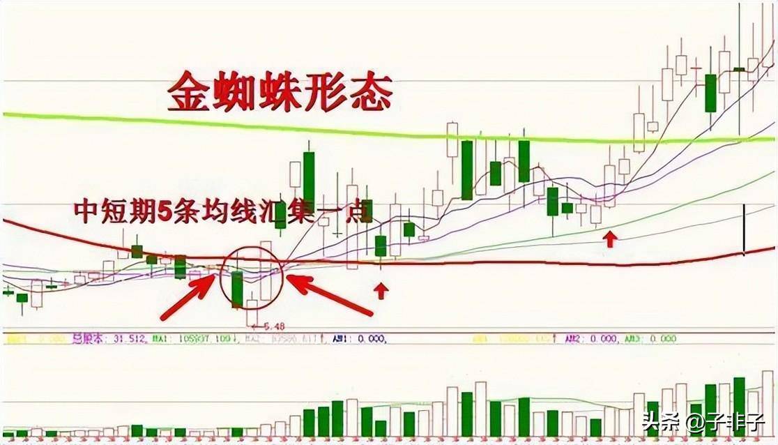 巴菲特点破中国股市股市的钱到底都被谁赚走了？散户我的钱呢