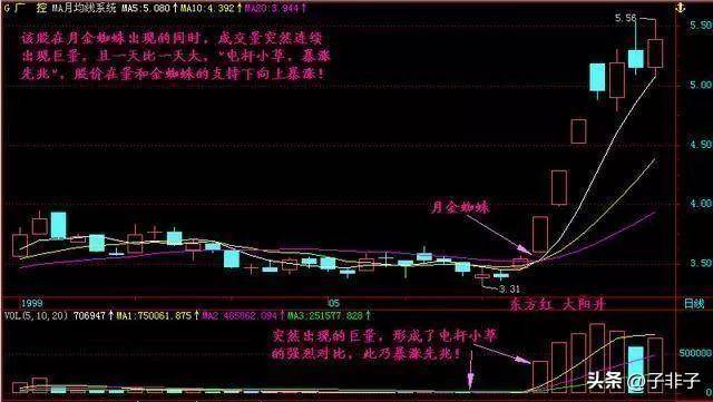 巴菲特点破中国股市股市的钱到底都被谁赚走了？散户我的钱呢