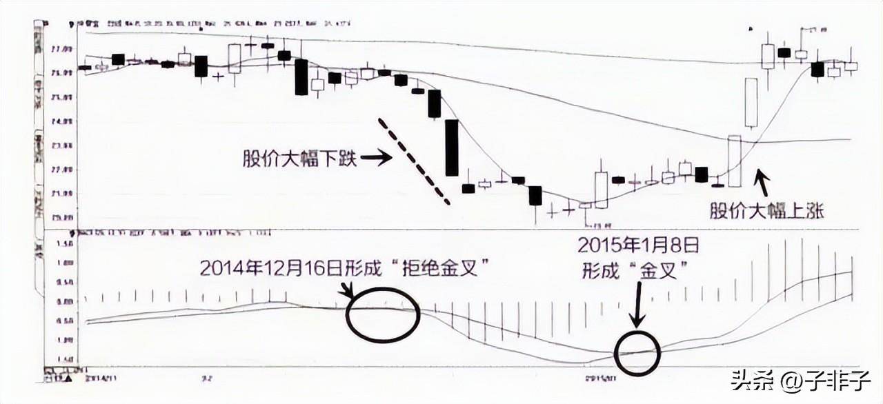 巴菲特点破中国股市股市的钱到底都被谁赚走了？散户我的钱呢