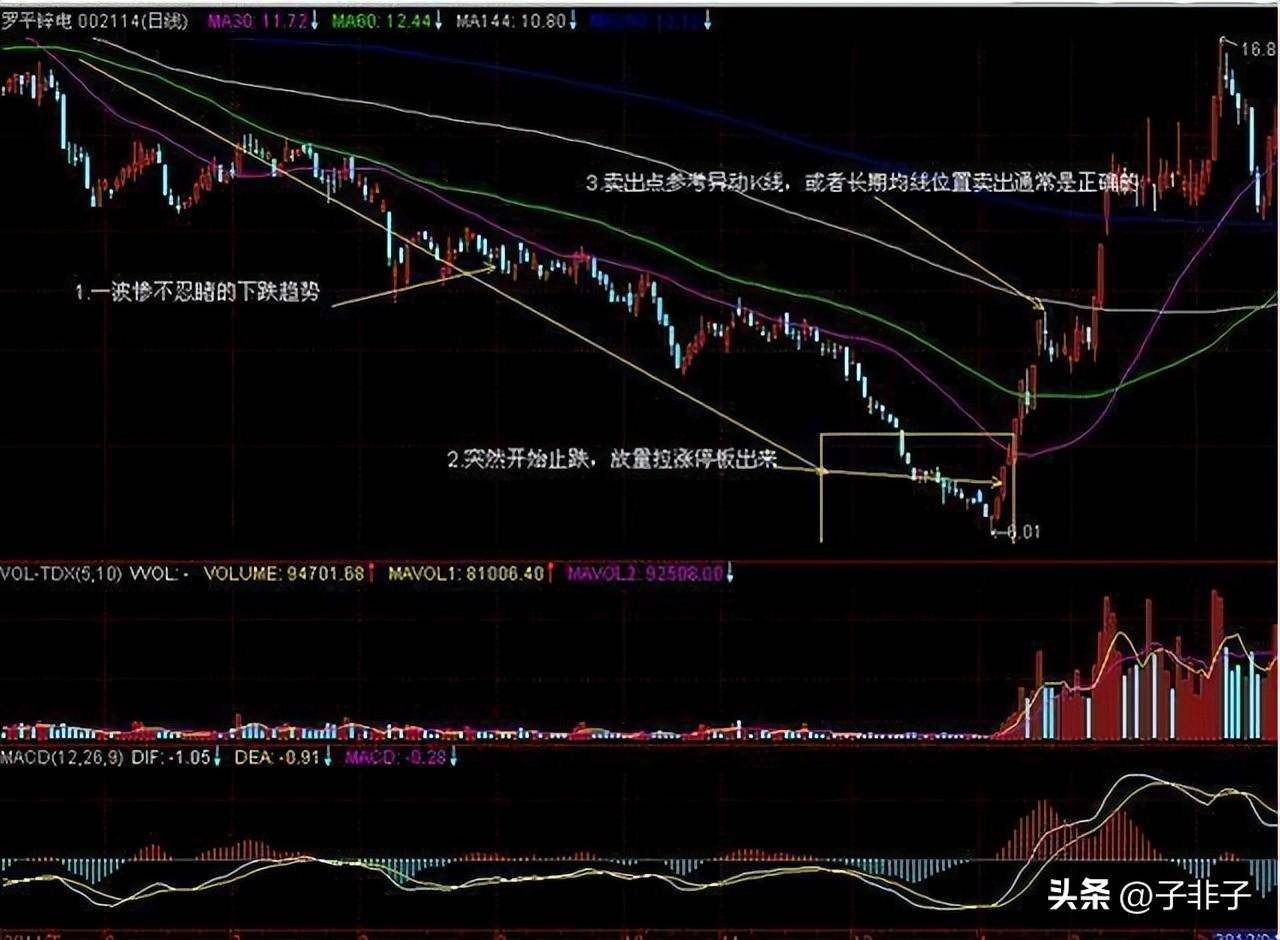 巴菲特坦言中国股市的钱到底都被谁赚走了？此文无价很短很深