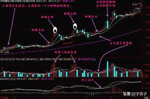 巴菲特点破股市目前A股若一直涨到5000点什么股票最有价值？