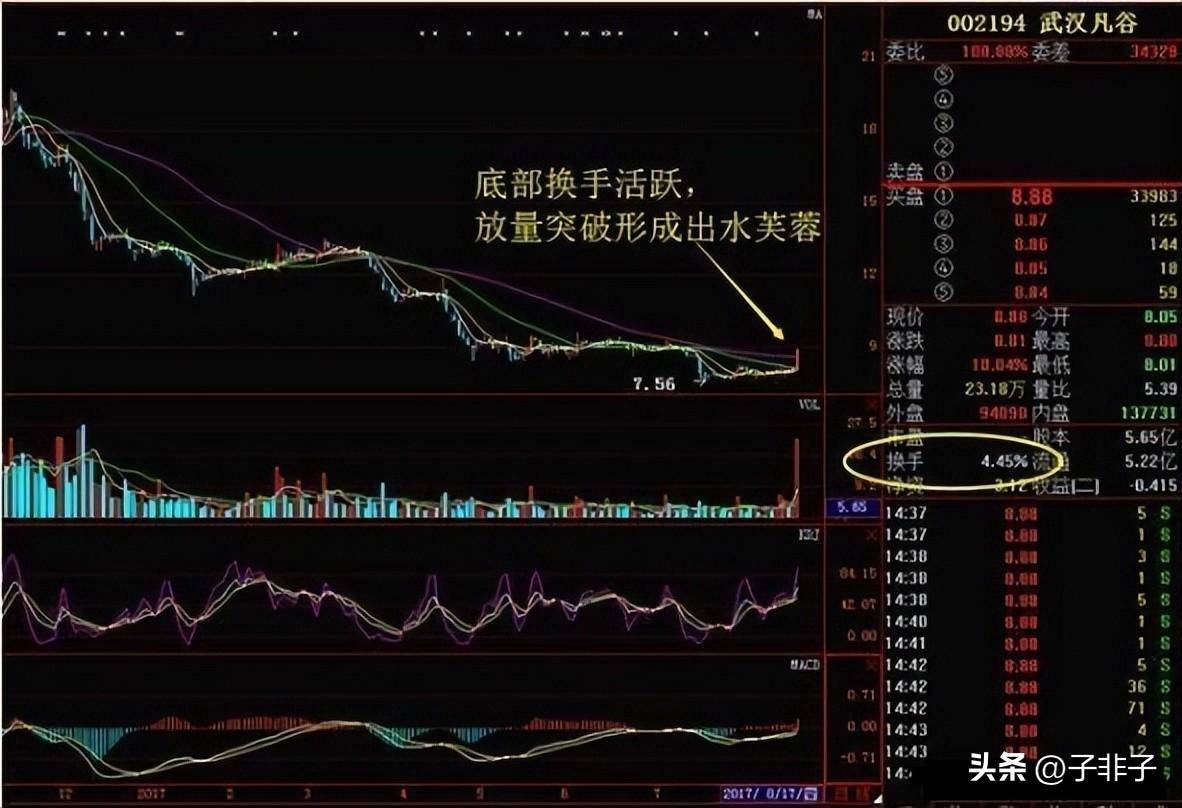 北大女博终于发声了10年后A股还是3千点?下一轮牛市何去何从?