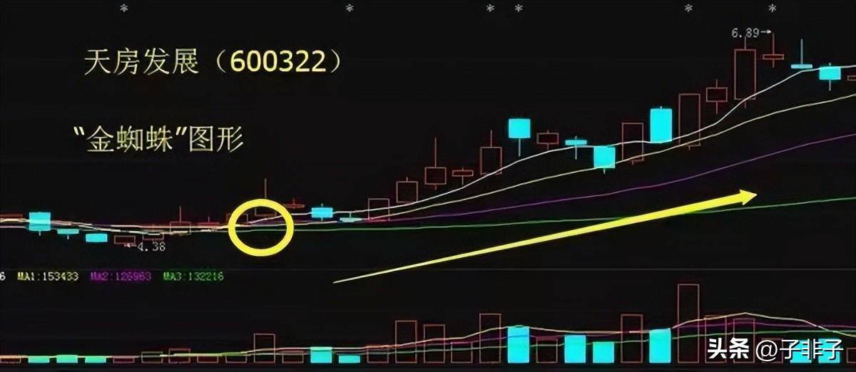 下一轮牛市即将来临靠炒股到底能不能发财?