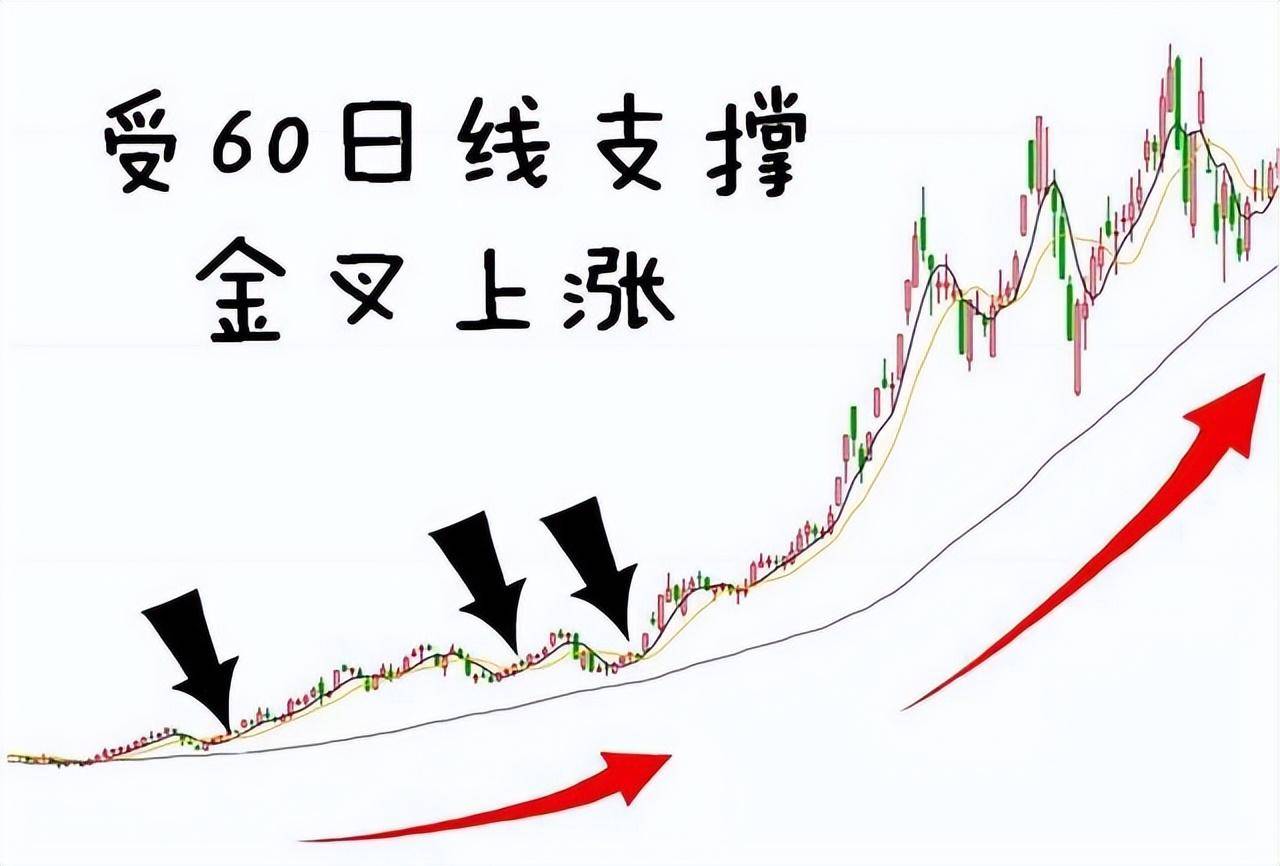 为什么说成功的投资都是反人性的？我整整读了10遍太透彻了