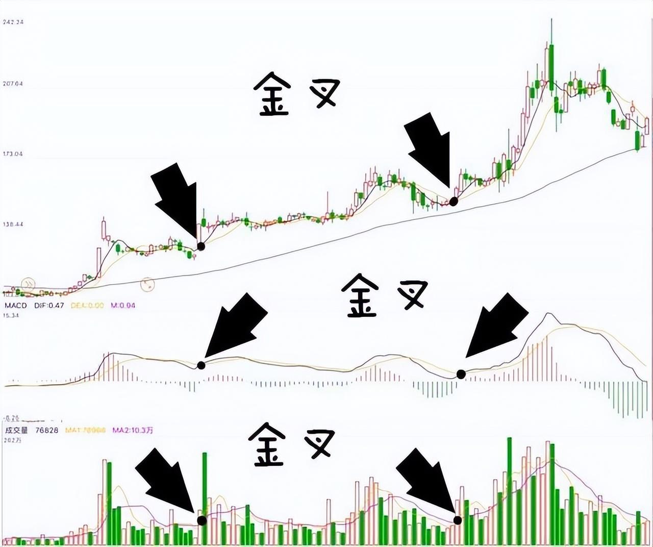 为什么说成功的投资都是反人性的？我整整读了10遍太透彻了