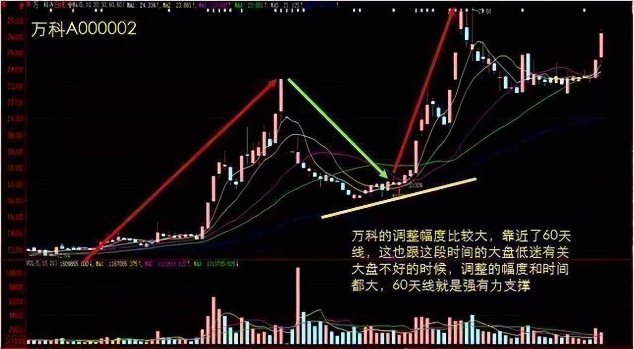 中国股市炒股最牛的人简单的事情重复做每天认真读三遍收藏