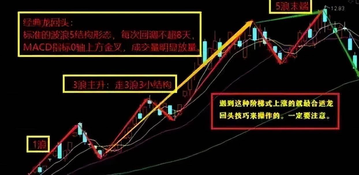 如果想要实现炒股养家本文将是你的垫脚石献给还在亏损的散户
