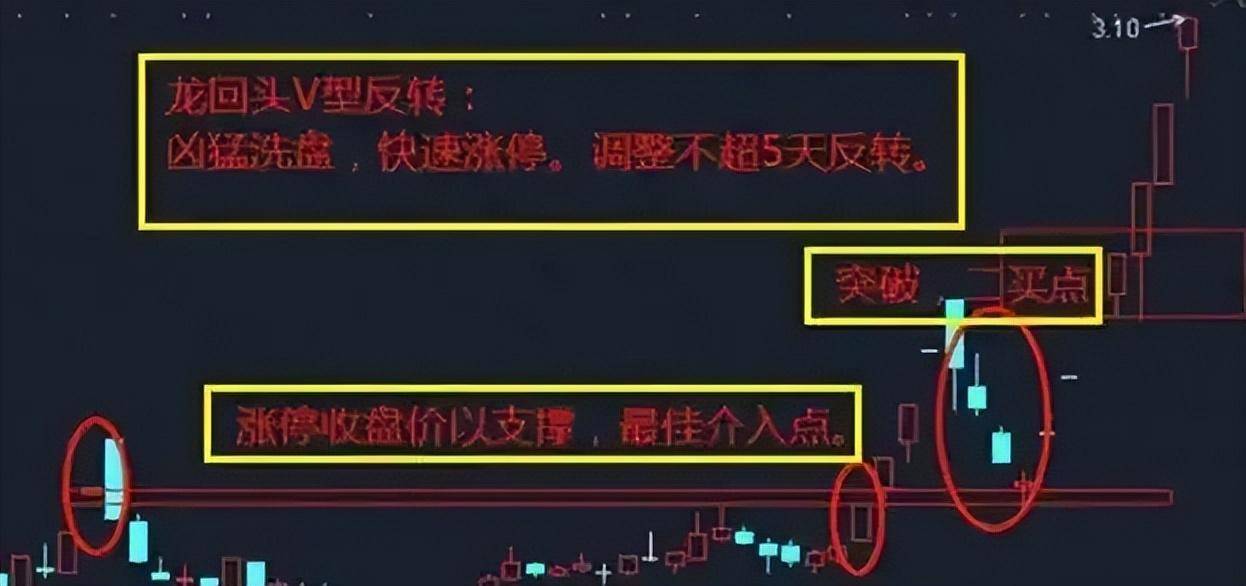 如果想要实现炒股养家本文将是你的垫脚石献给还在亏损的散户